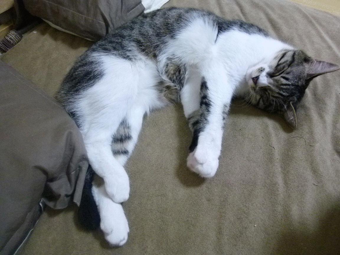 暗夜魔术，当乔治化身硬仗之王，奥兰多如何将太阳炼成季后赛燃料？