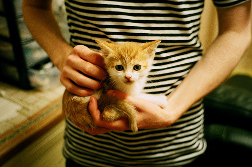 唯一的光芒,奥亚尔萨瓦尔的判决与中国队的漫长成长