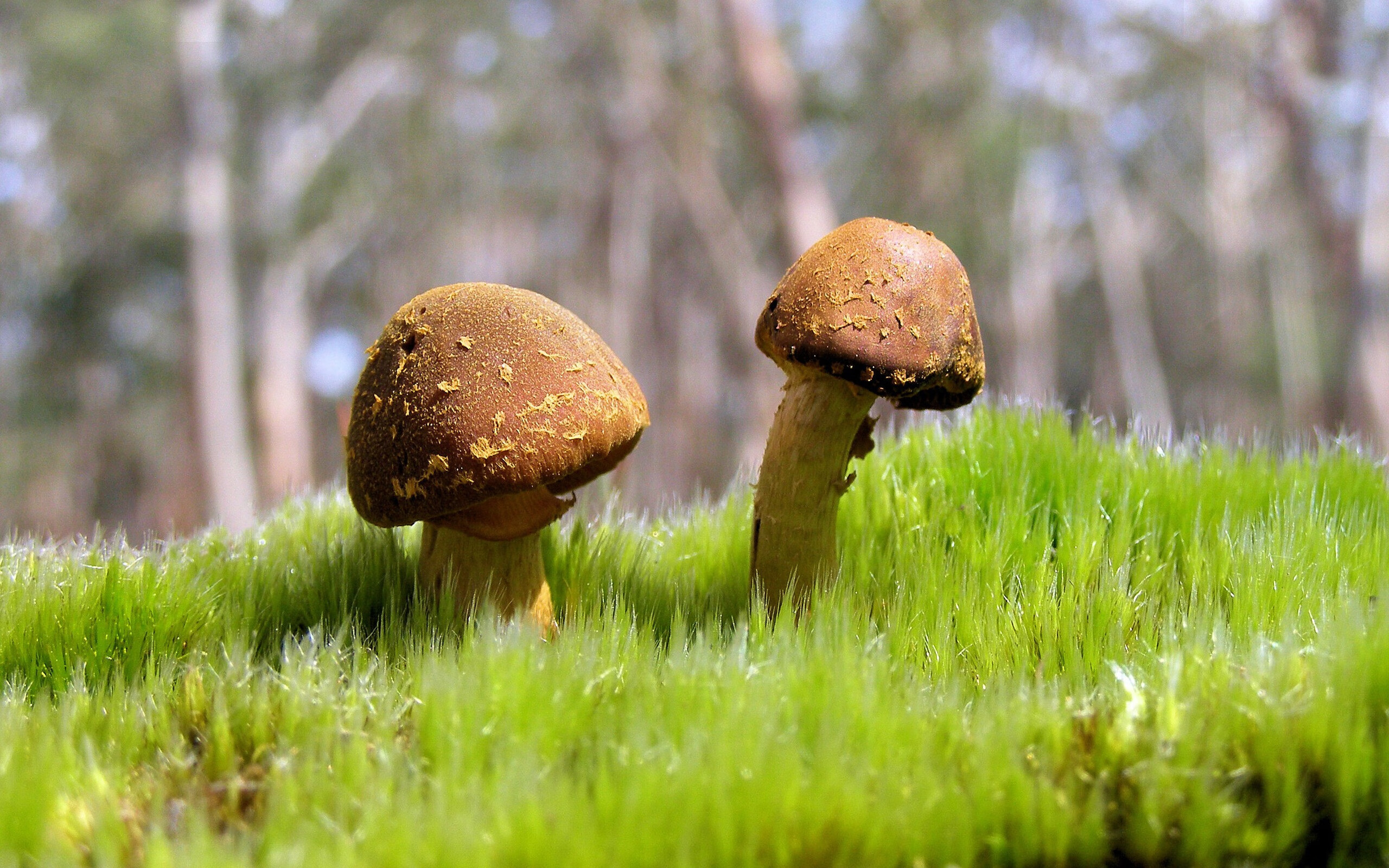 改写剧本,当德国遭遇爱尔兰,梅西让不可能提前降临