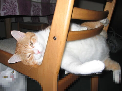 双重变奏,骑士以节奏牢笼钳制尼克斯,贝恩末节接管书写关键先生宣言