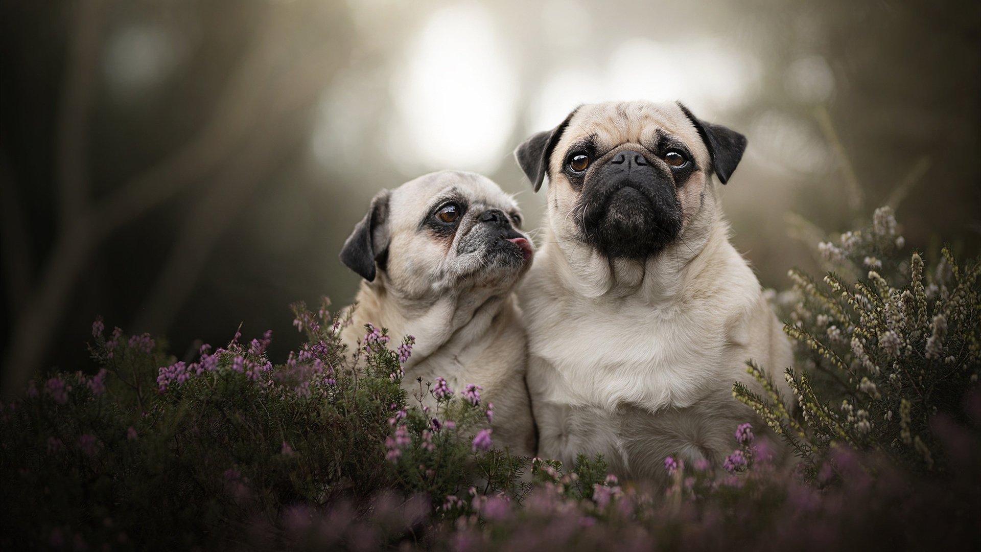 铁索横江，帕尔默无声封喉的抢七之夜