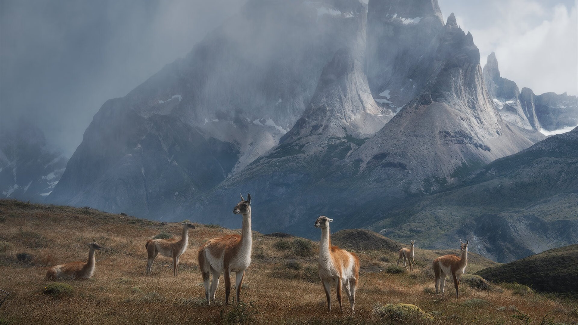 德罗赞抢七之夜封神,全场最佳毫无争议