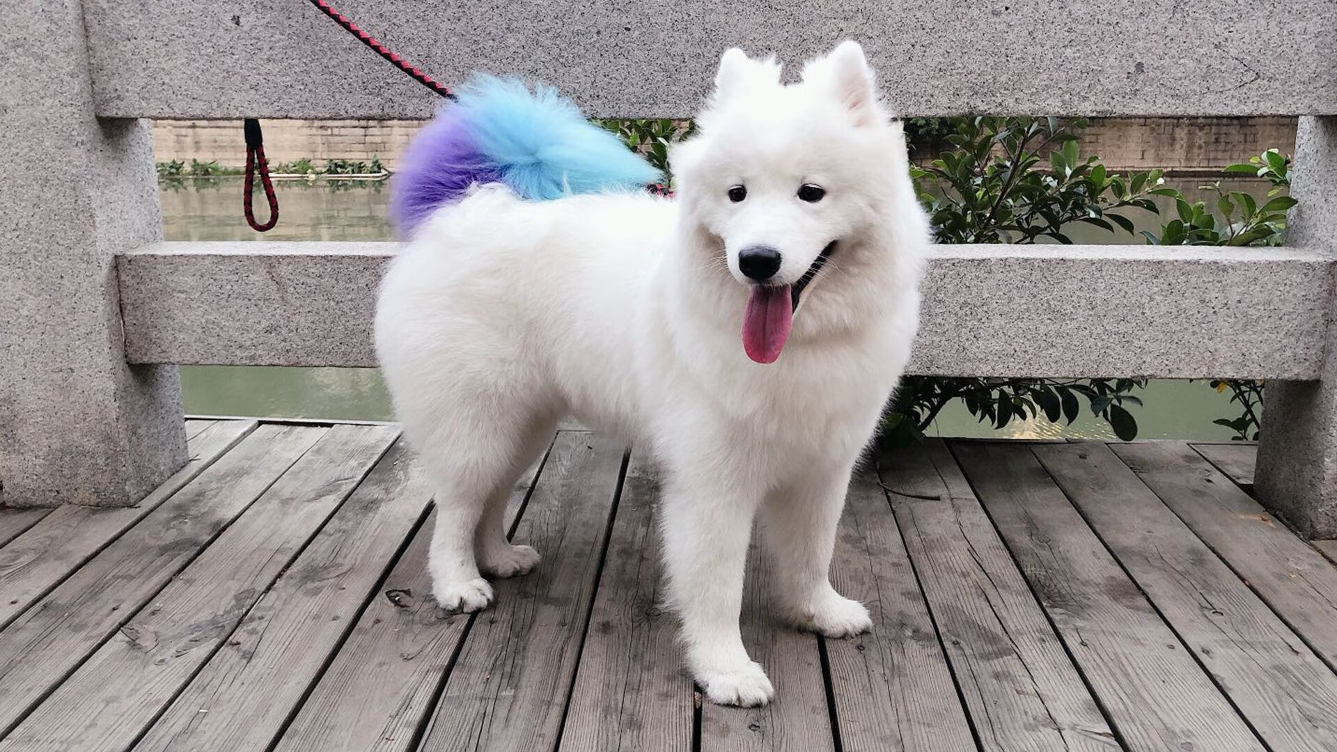 节奏大师,乔治在总决赛之夜谱写的胜利交响曲