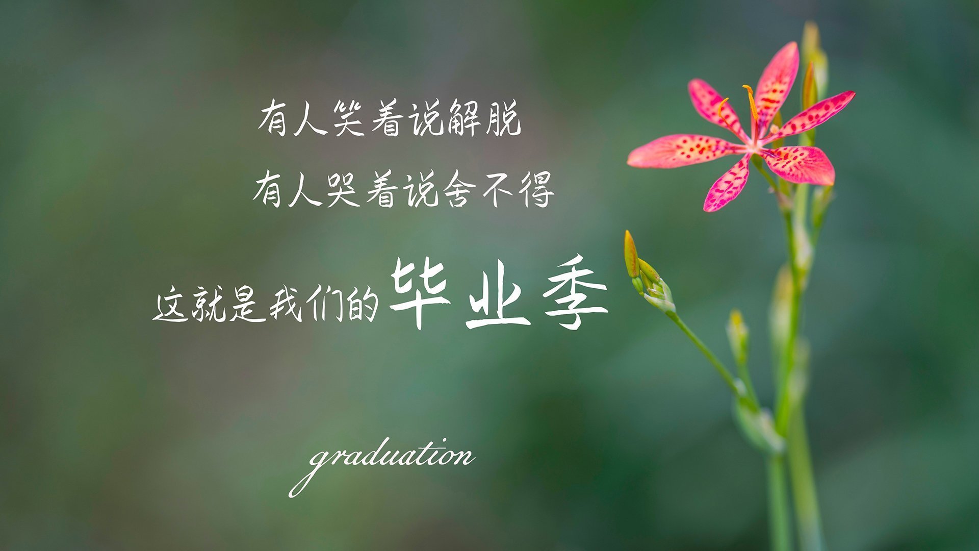 霍勒迪的指挥刀,骑士用一波14-0的变奏曲,让火箭的轰鸣戛然而止