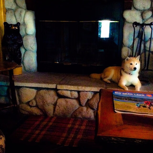 末节释然，当德里赫特从噩梦走入晨曦