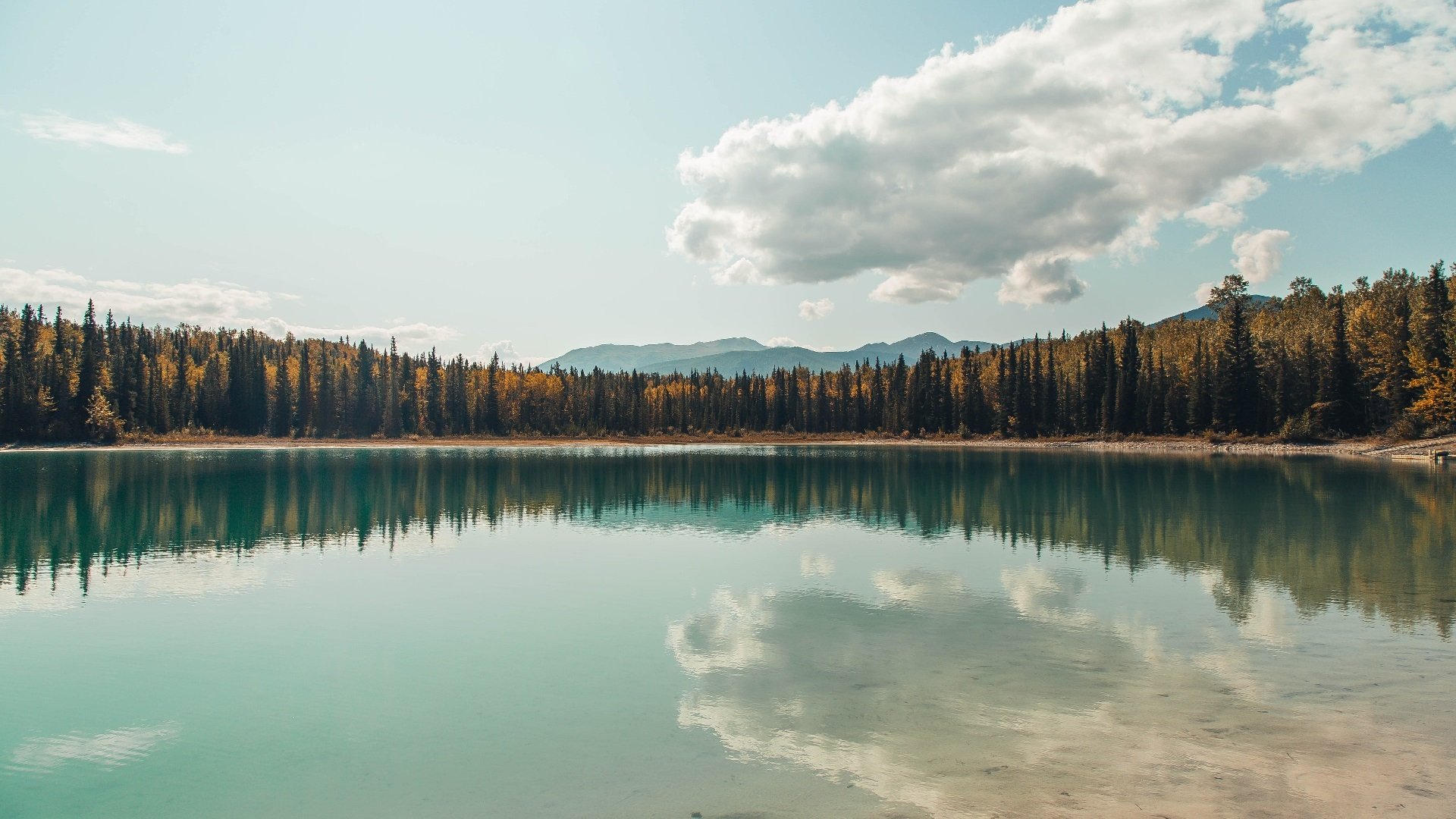 跨境英雄，当德国心脏为智利而跳，基米希一锤定音击碎阿尔及利亚铁壁