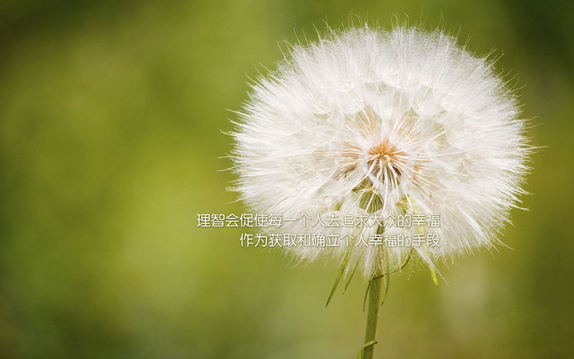 生涯之夜！小贾伦狂轰45分拯救步行者，压哨绝杀掀翻凯尔特人