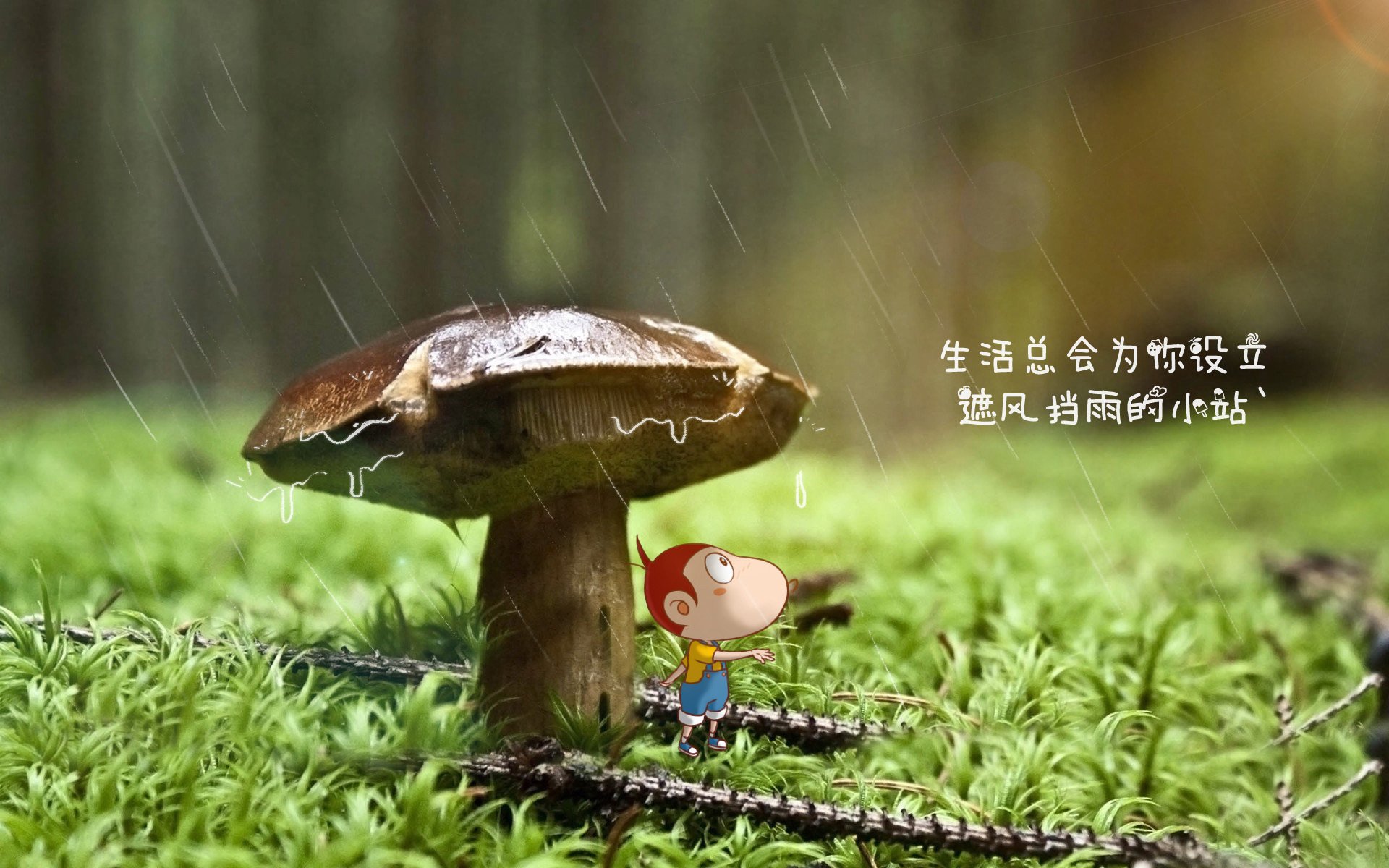 控球的幽灵,2026世界杯H组,德国如何用压制性控球为维尼修斯的致命一击铺路
